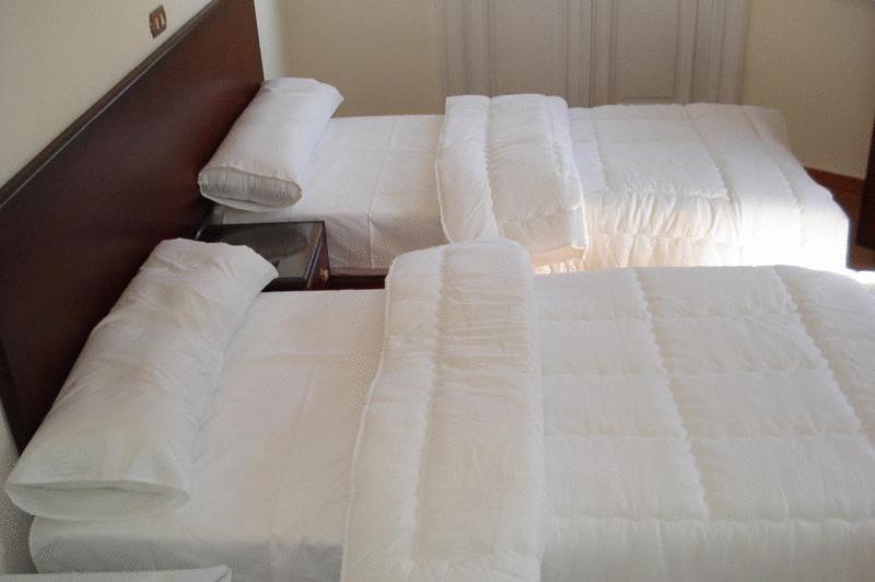 Transit Hostel *