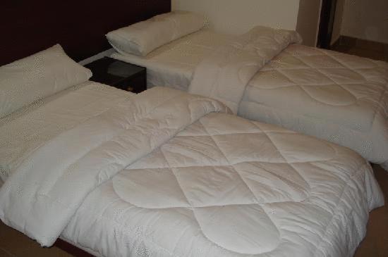 Transit Hostel